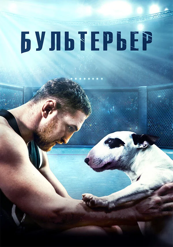 Бультерьер постер - смотреть онлайн